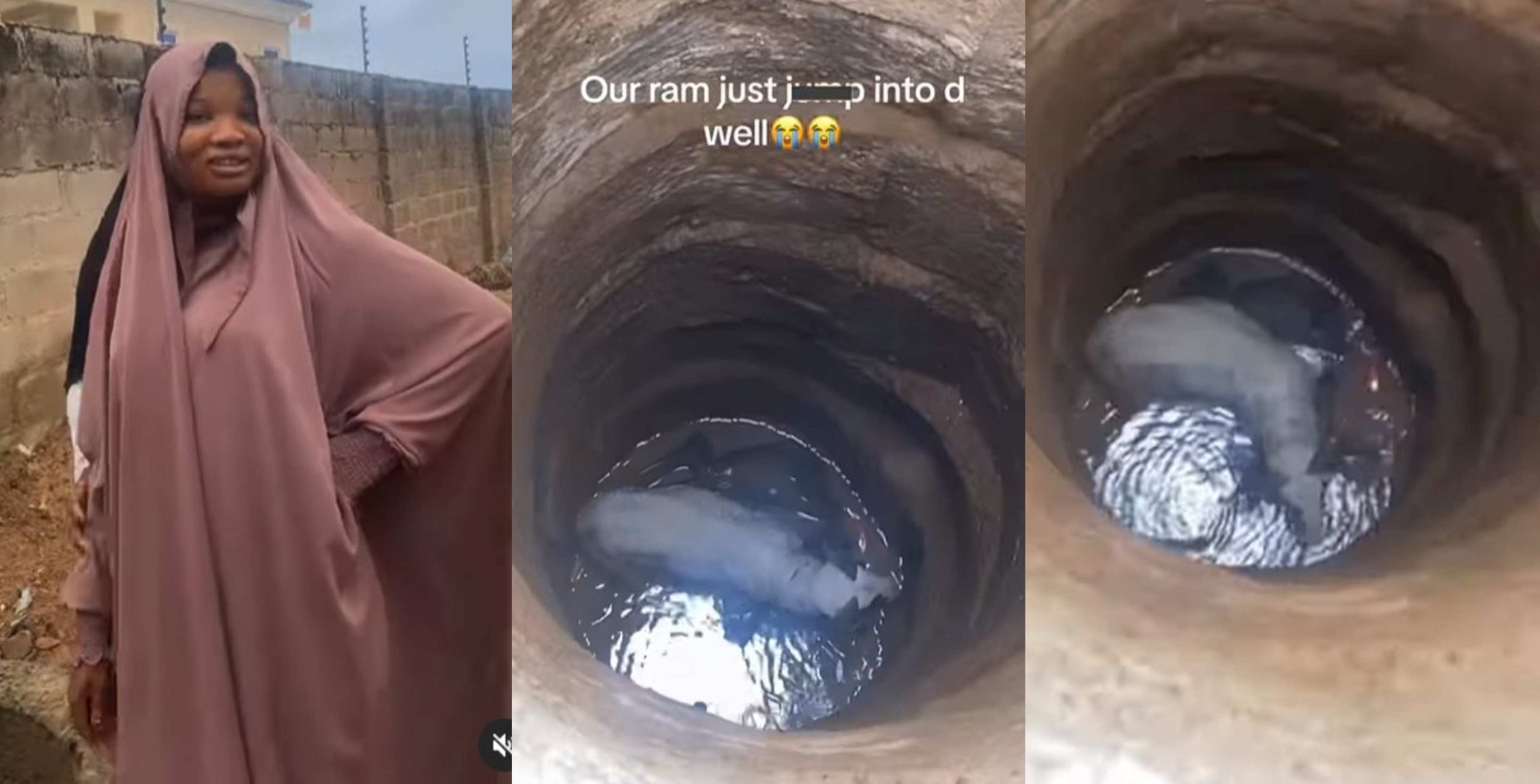 Reactions trail as Sallah ram ran inside a deep well few hours to celebration