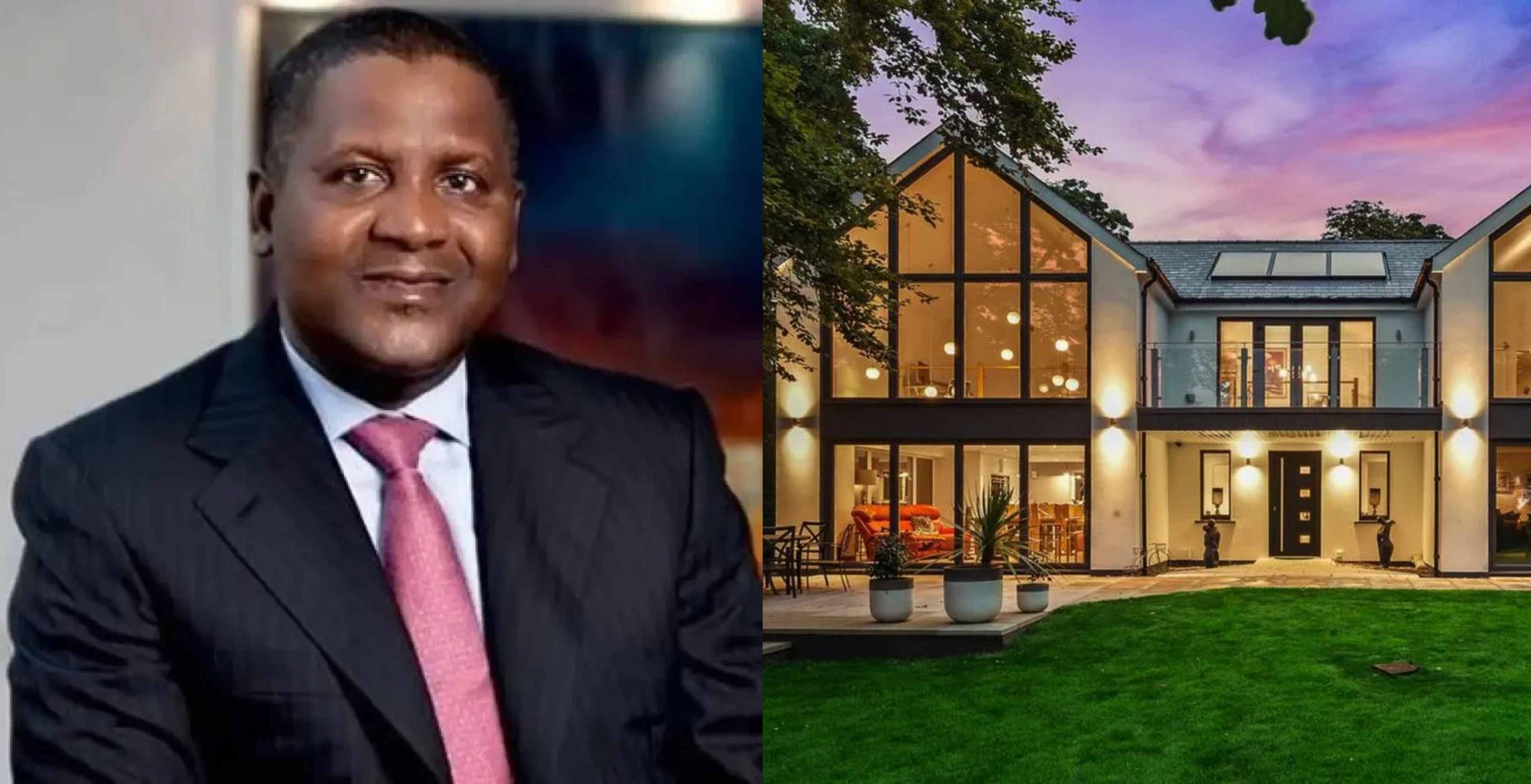 Africa’s richest man Dangote spills in new video